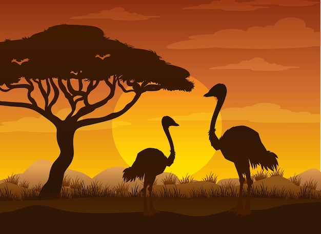 Free Vector silhouette savanna forest with wild animals