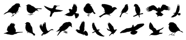 Free vector silhouettes of birds different pack of bird silhouettes