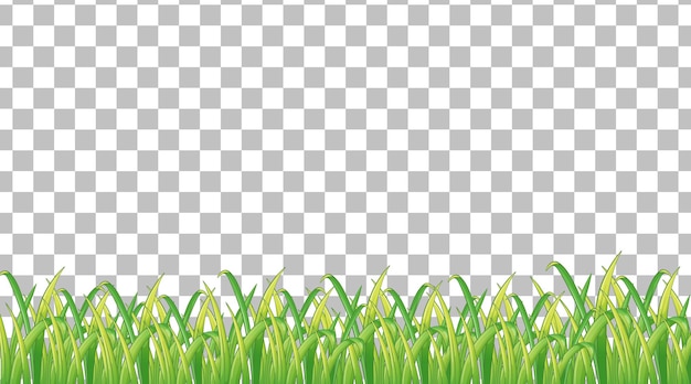 Free vector simple grass field on transparent background