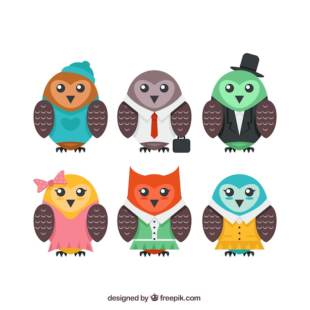 Free Vector six colored owls with clothes