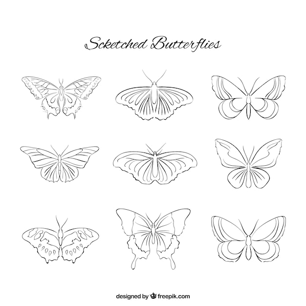 Free Vector  sketches of butterflies collection