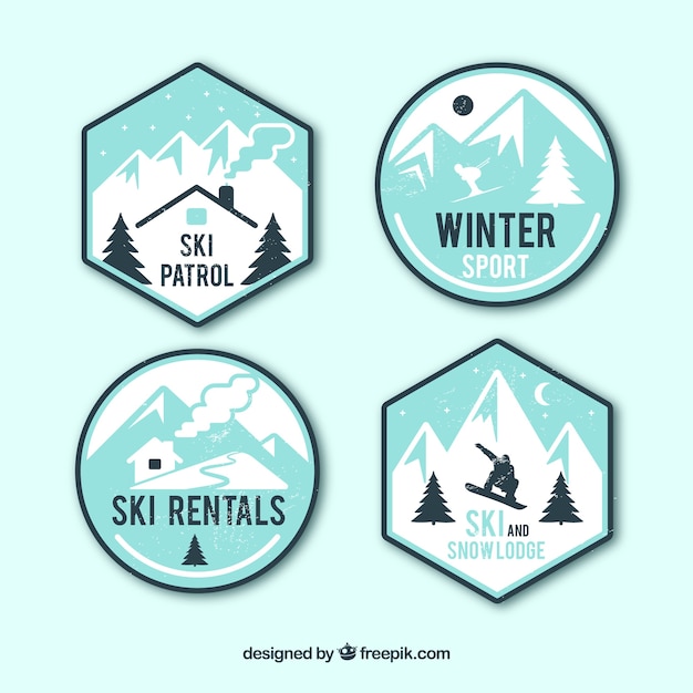 Ski badge collection