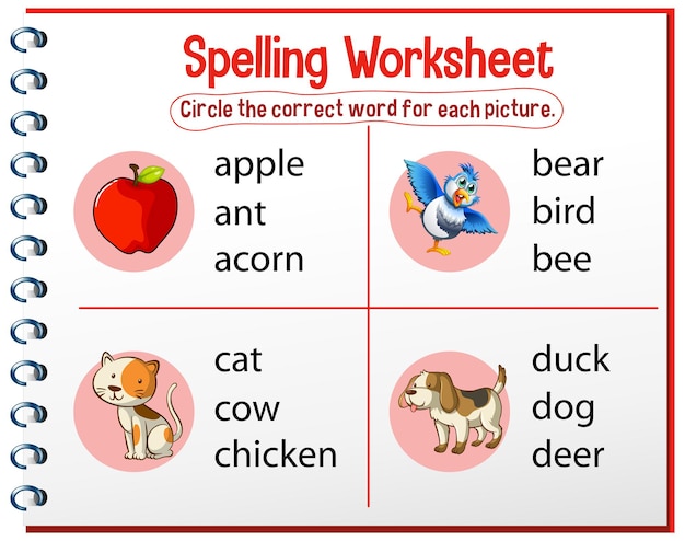 Free Vector spelling worksheet template for kids