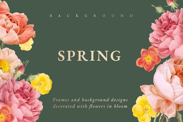 Free Vector spring background 