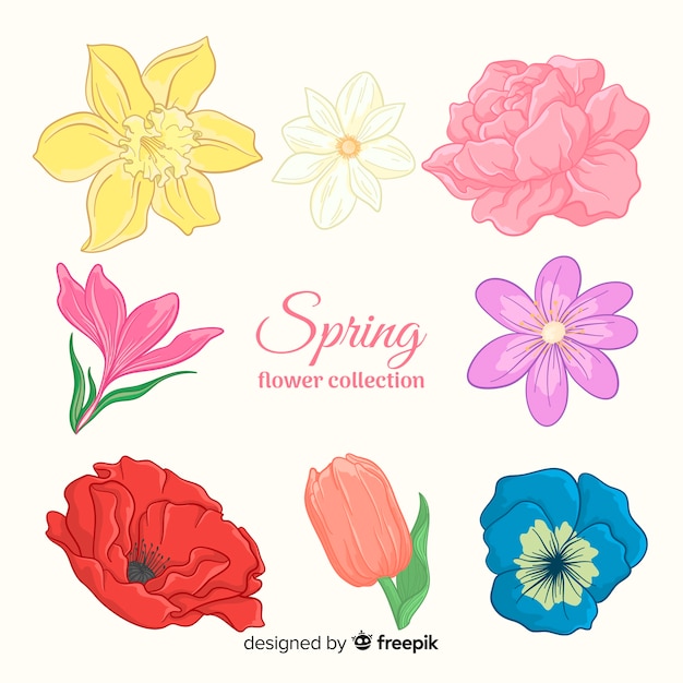 Free vector spring flower collection