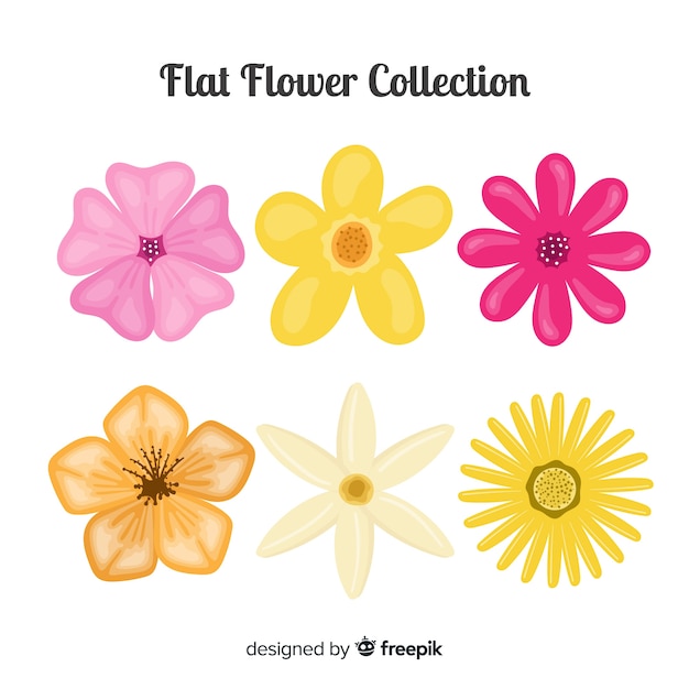 Free Vector spring flower collection