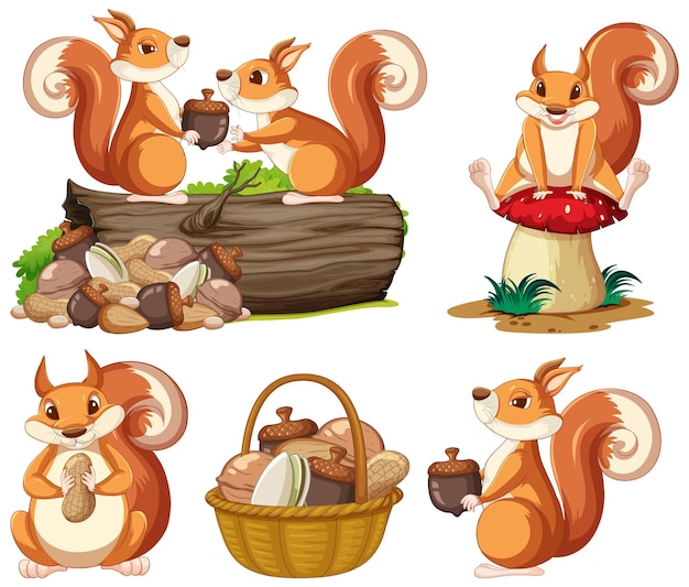 Free vector squirrels in different action