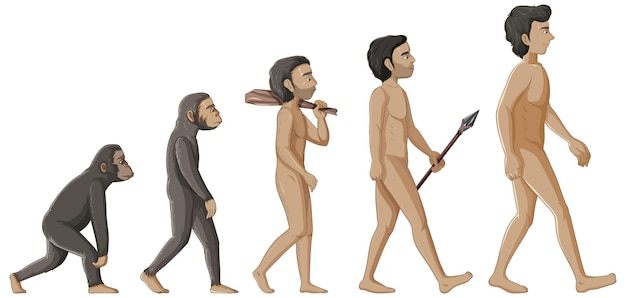 Free Vector stages of human evolution cartoon character