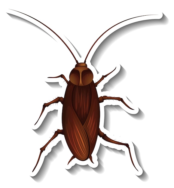 Free Vector a sticker template with top view of a cockroach isolated