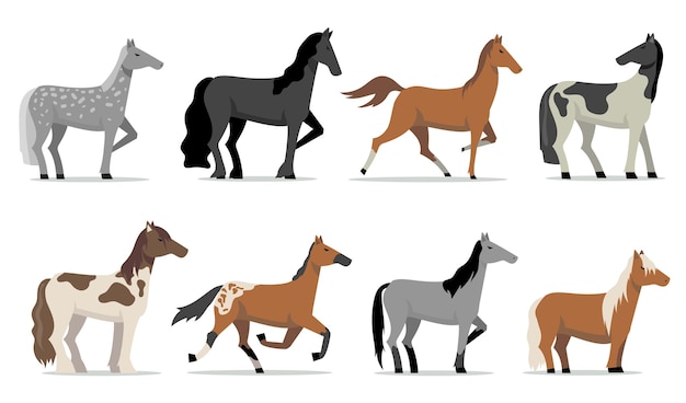 Free Vector stud horses set. colorful breed racing stallions standing and running. isolated flat vector illustrations for husbandry, horse breeding, business, pets