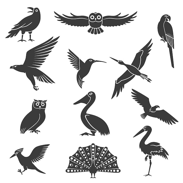 定型化された鳥のシルエットブラックセット