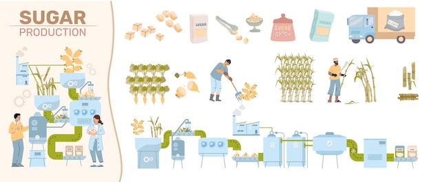 Free Vector sugar production composition with human characters operating factory line and set of isolated icons with supplies vector illustration