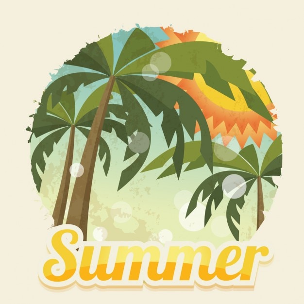 Free Vector summer background design