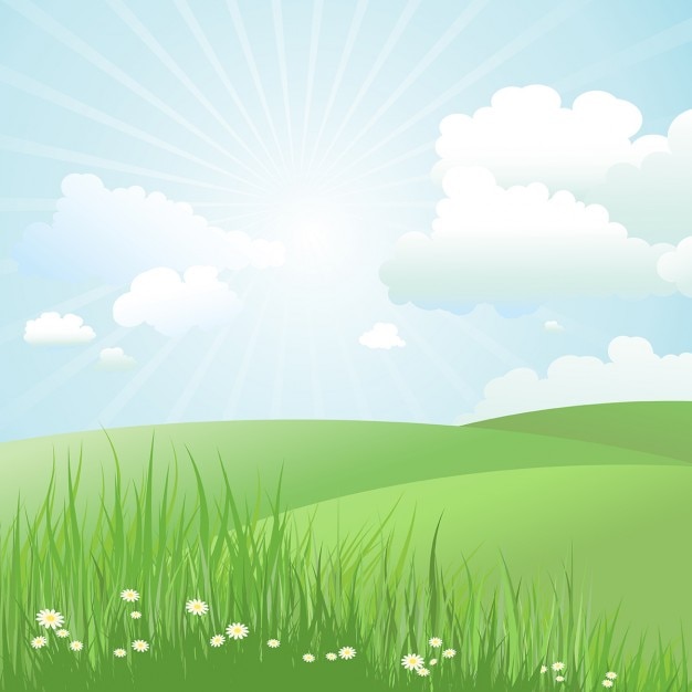 Free vector summer landscape with daisies in grass