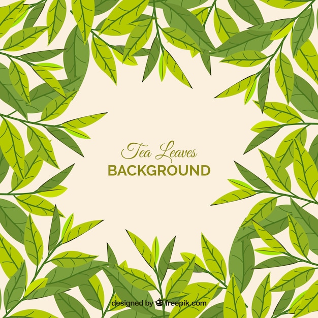 Free Vector tea leaves background in hand drawn style