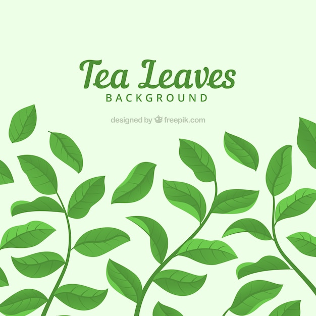 Free Vector tea leaves background with different plants