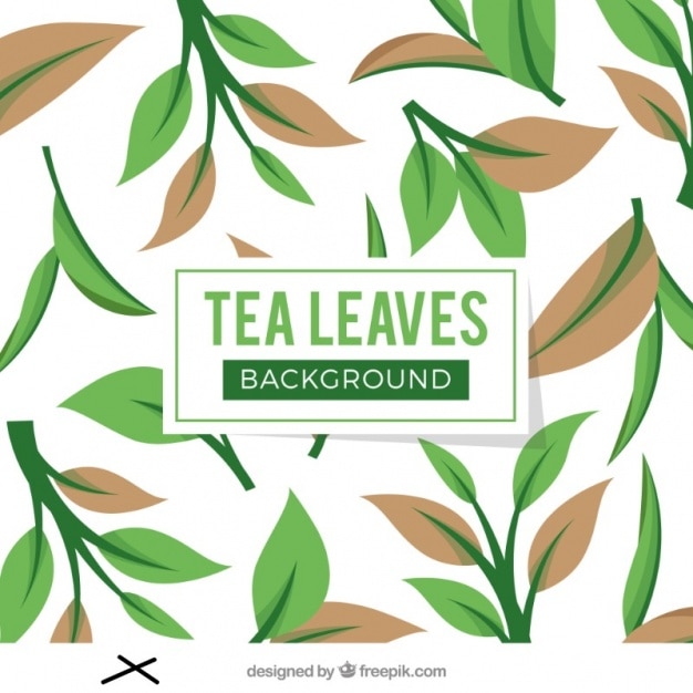 Free Vector tea leaves background