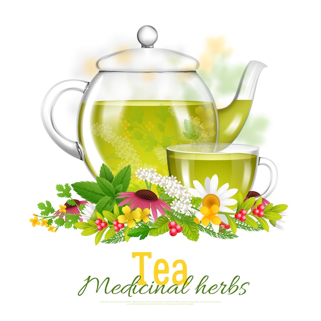 Free Vector teapot and tea cup medicinal herbs illustration