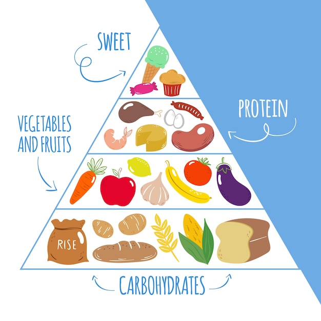 Template of food pyramid