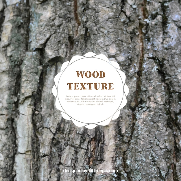 Free Vector texture tree trunk