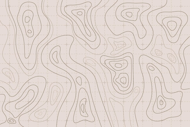 Topographic map background concept