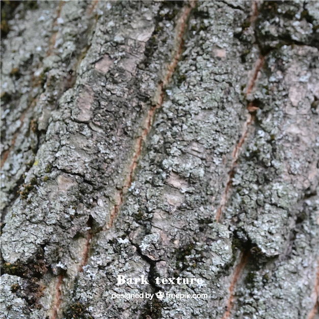 Free vector a tree bark texture