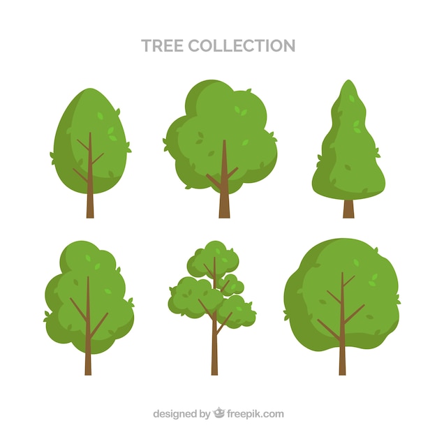 Free Vector tree collection of six