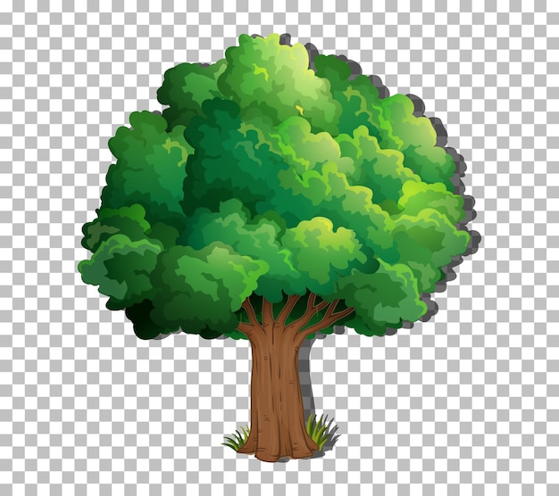 Free Vector a tree isolated on transparent background