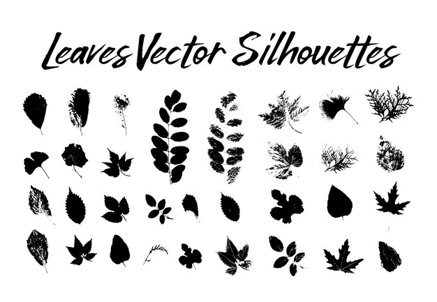 Tree leaves silhouettes. Plants and nature