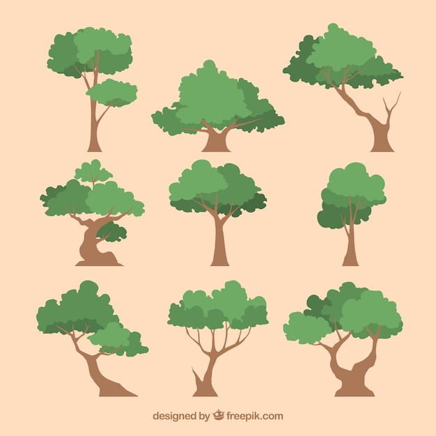 Free Vector trees collection in 2d style