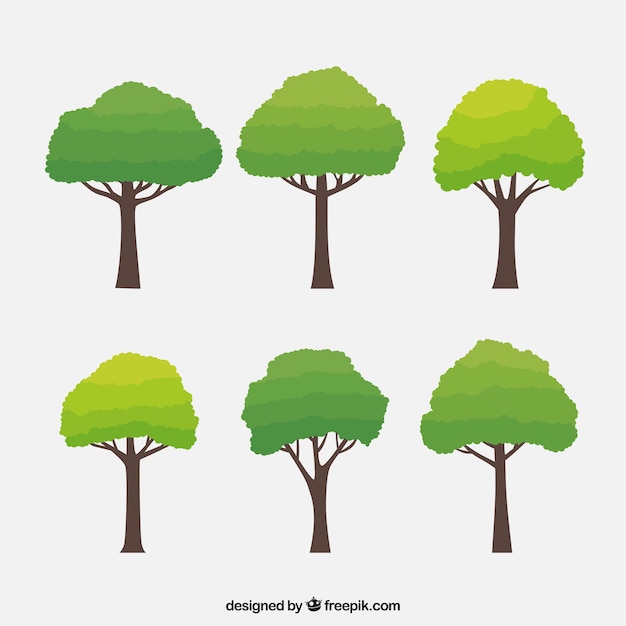 Free Vector trees collection in flat style 