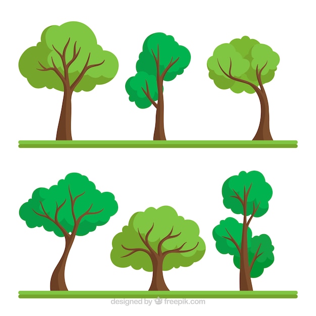 Free Vector trees collection in flat style