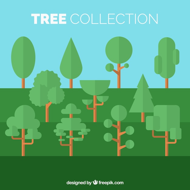 Free Vector trees of different shapes pack