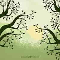 Free vector trees silhouettes nature background