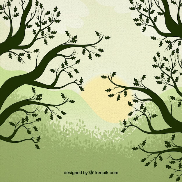 Free Vector trees silhouettes nature background