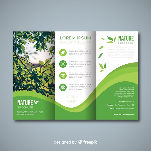 Free Vector trifold nature flyer with image