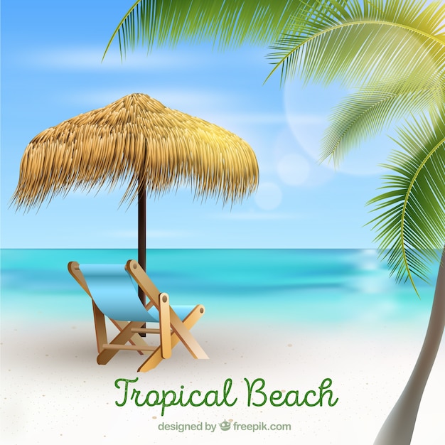 Free Vector tropical beach background with palms in realistic style