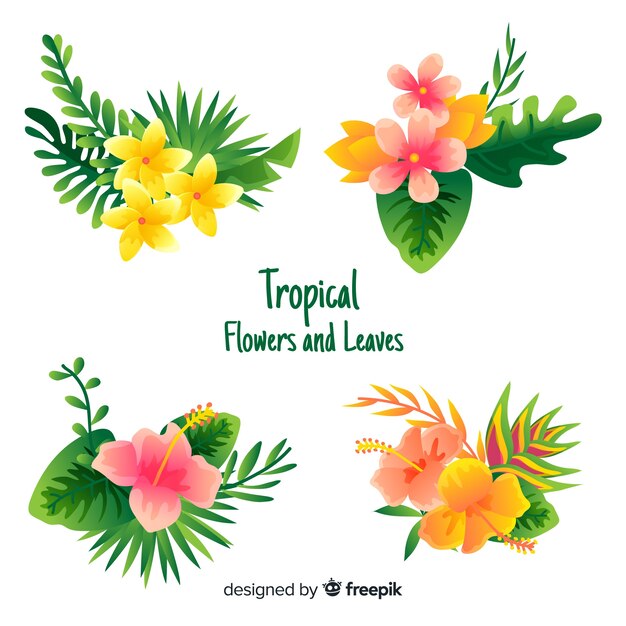 Tropical flowers and leaves