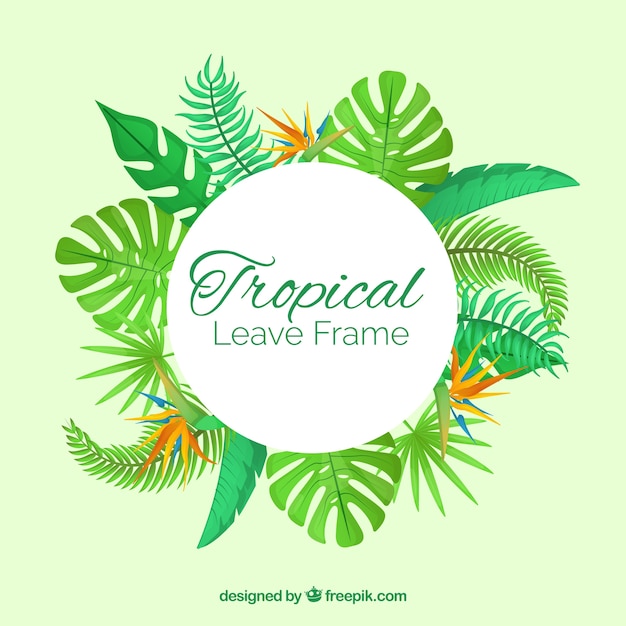 Free Vector tropical frame with different leaves