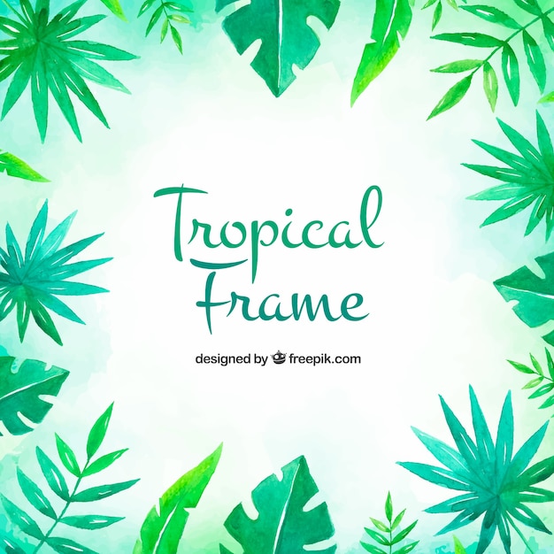 Free Vector tropical frame with leaves and vegetation