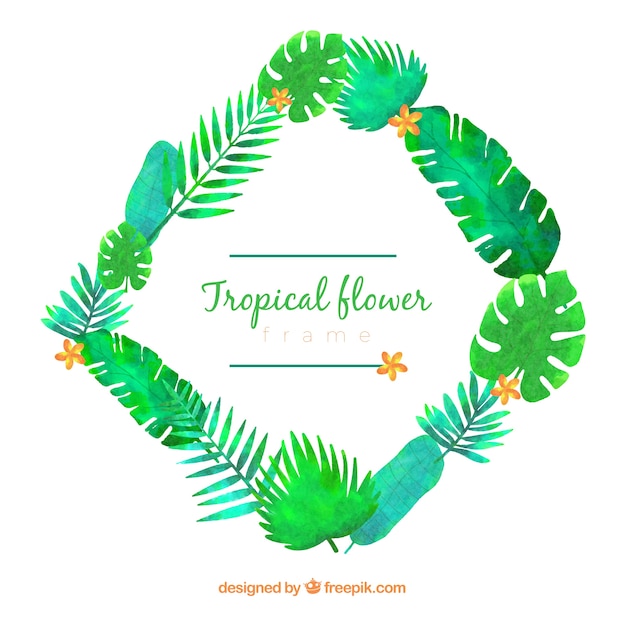 Free Vector tropical frame with leaves and vegetation