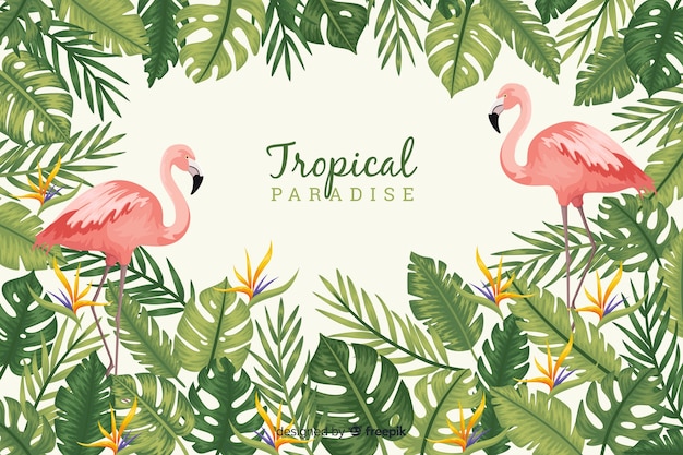 Free Vector tropical leaves and birds