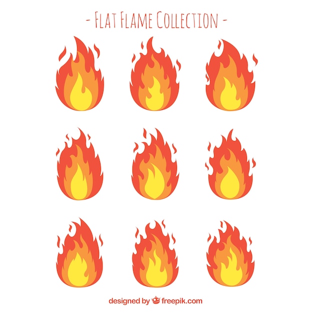 Free Vector variety of flames