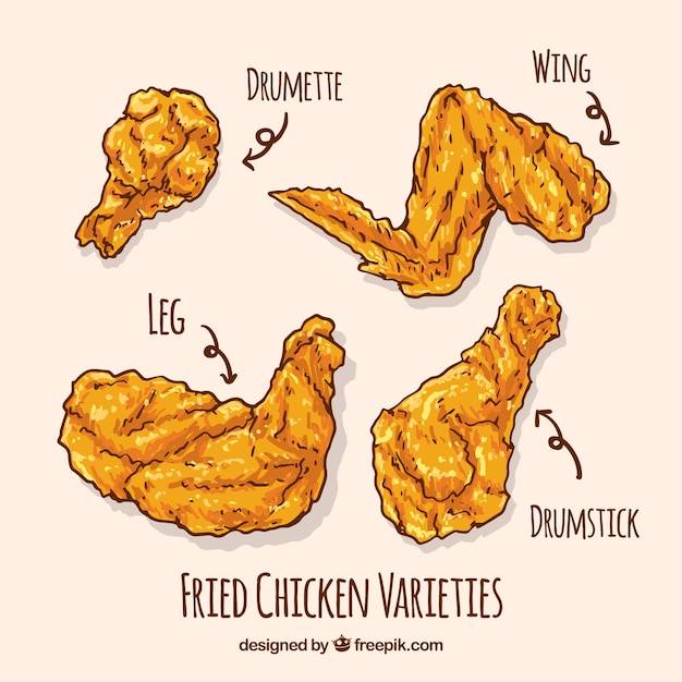 Free Vector variety of hand-drawn fried chicken