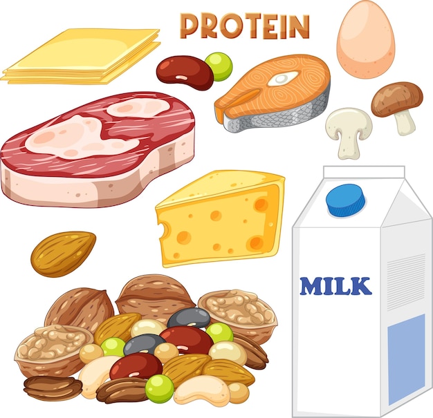 Free Vector variety of protein foods with text