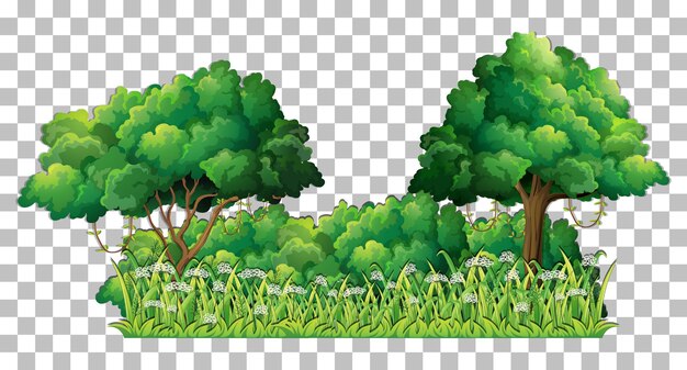 Variety trees on transparent background