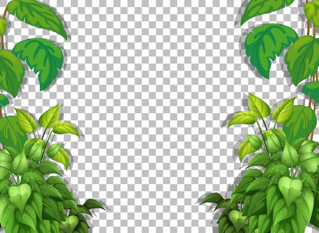 Free Vector various tropical leaves on transparent background