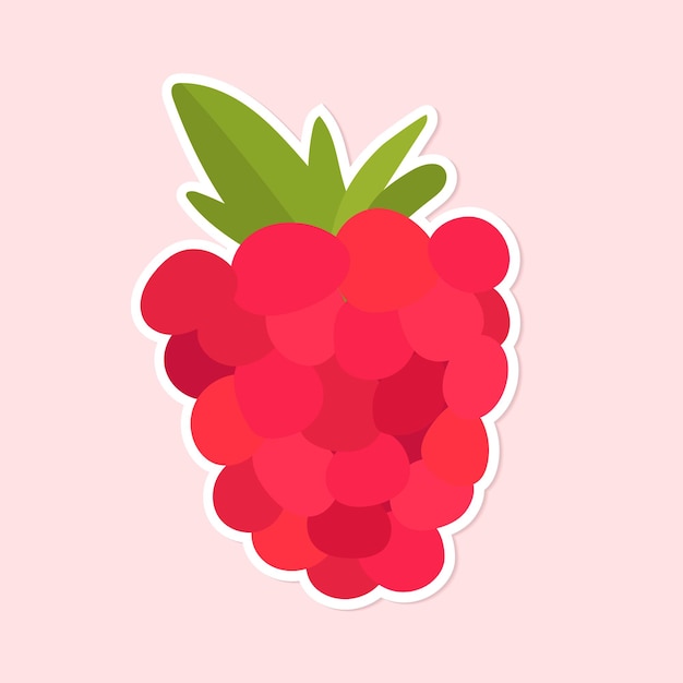 Free Vector vector colorful raspberry fruit sticker clipart