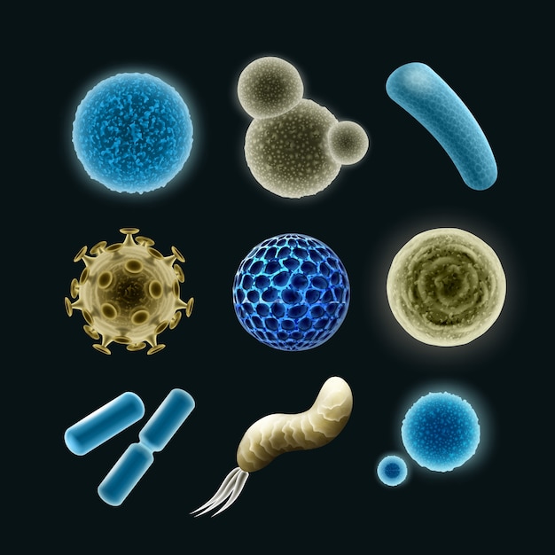 Free Vector vector set of different bacteria and virus cells cocci, spirilla, bacilli, diplobacilli isolated on dark background