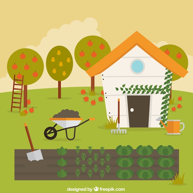 Free Vector vegetable garden